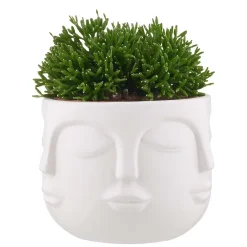 Butlers ARTIST Blumentopf Gesichter