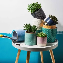 Butlers BLOOMY Blumentopf 6er-Set Online