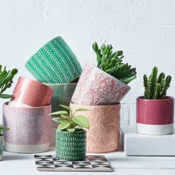 Butlers EARLY SPRING Blumentopf 6er-Set Discount