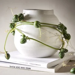 Butlers FINJA Blumentopf Vase Clearance