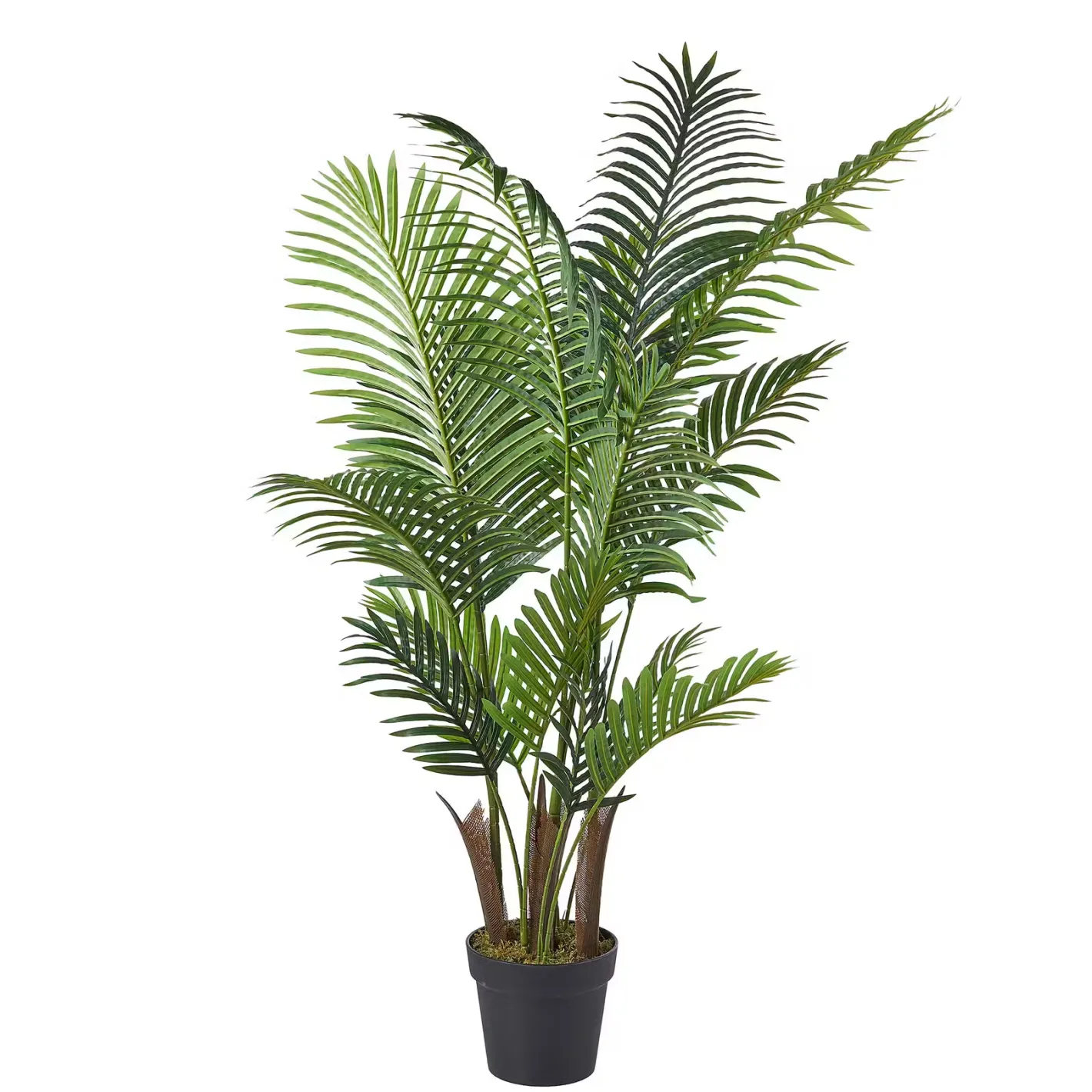 Butlers FLORISTA Kunstblume Farn Sale