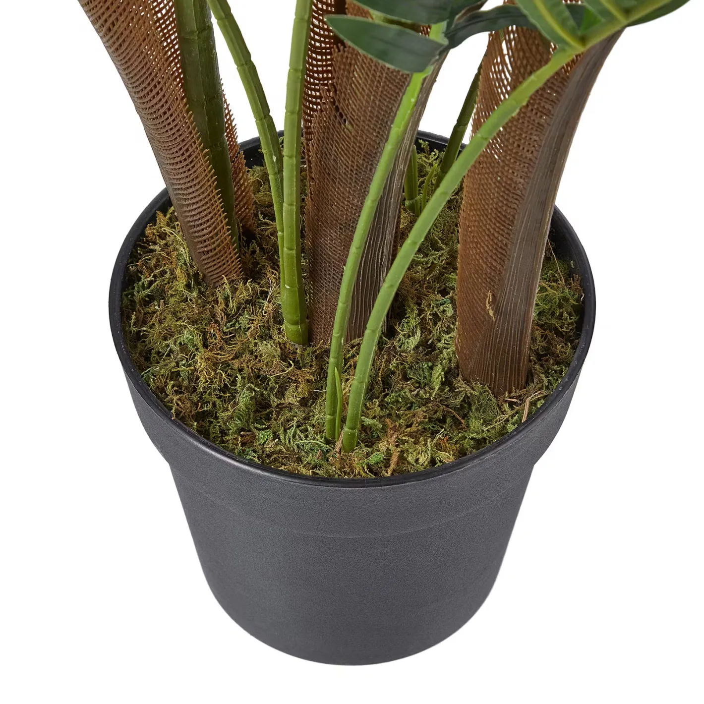 Butlers FLORISTA Kunstblume Farn Sale