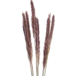 Butlers FLOWER MARKET Trockenblumen Discount