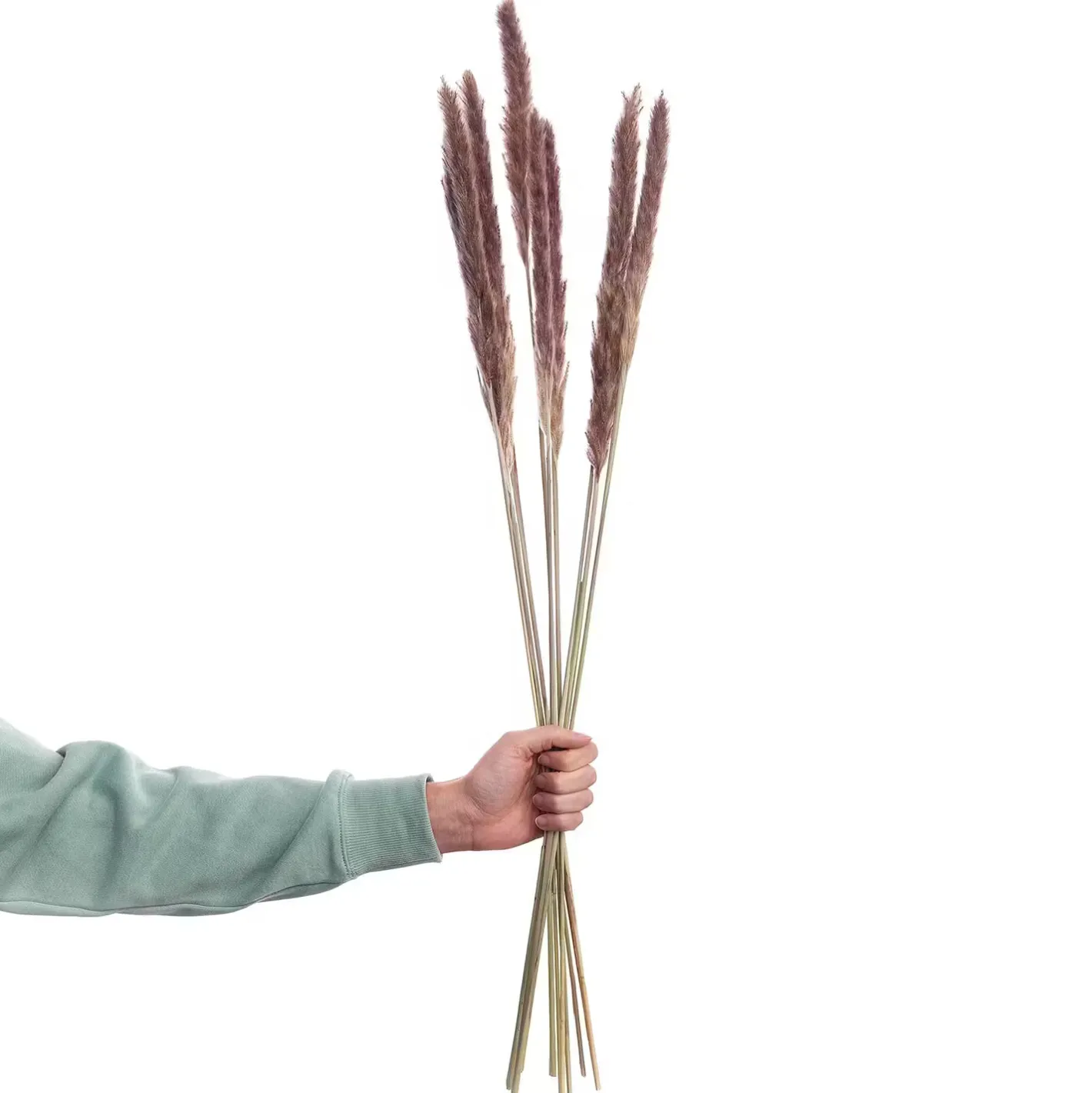 Butlers FLOWER MARKET Trockenblumen Discount