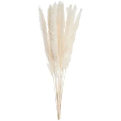 Butlers FLOWER MARKETTrockenblume Mini-Pampasgras 6er-Set