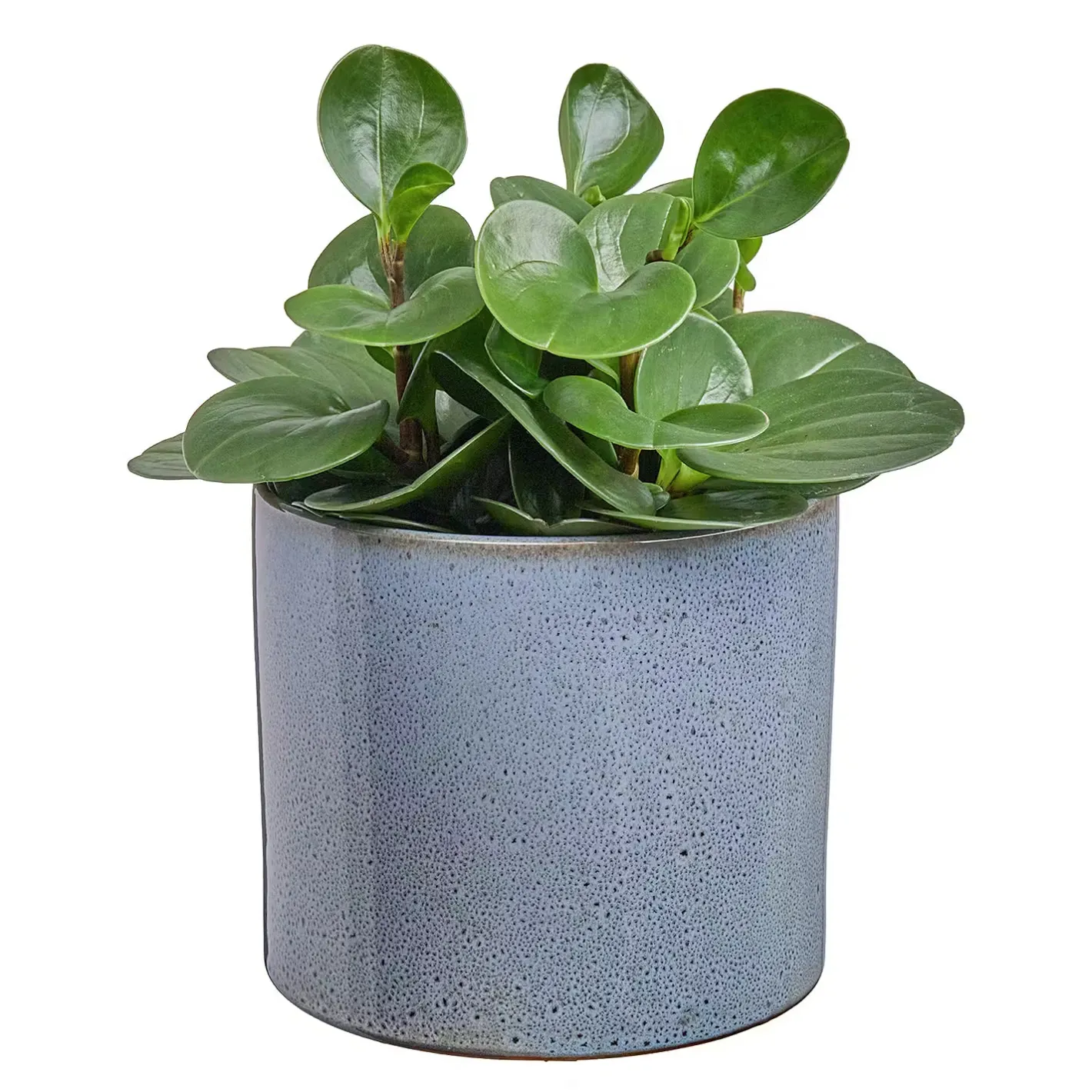 Butlers GLAZE Blumentopf Sale