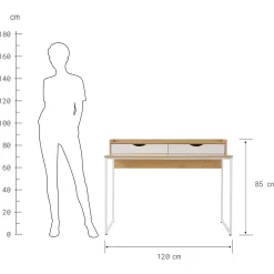 Butlers MODERNIST Schreibtisch New