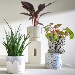 Butlers PAINTED Blumenübertopf 4er-Set Best