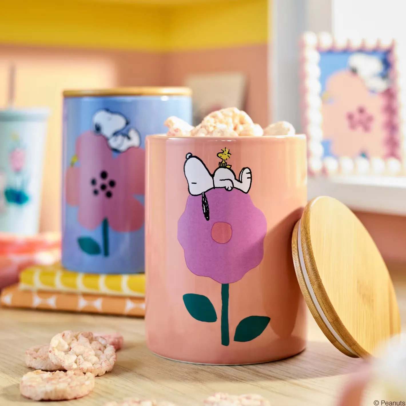 Butlers PEANUTS Aufbewahrungsdose Discount