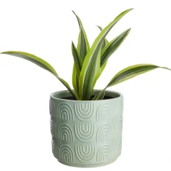 Butlers RAINBOW Blumenübertopf Best