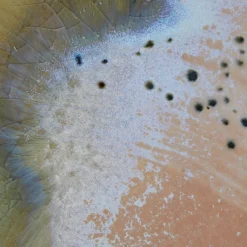 Butlers SINTRA Pastateller Best