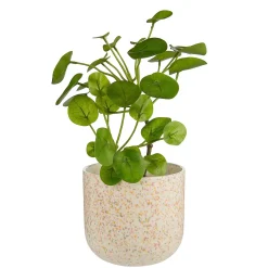 Butlers SPOT Blumenübertopf Sale