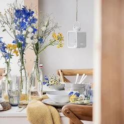 Butlers SWING Flasche mit Bügelverschluß 6er-Set Online