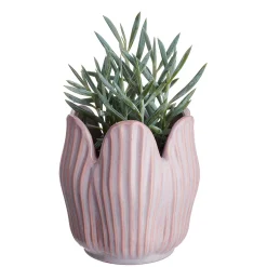 Butlers TULIP Blumenübertopf 4er-Set Online